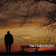 EŞREF ZİYA NE HALLERDEYİM ENSTRÜMANTAL Karaoke