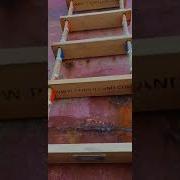 PTR Holland Climbing A PTR Pilot Ladder