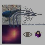 Graphical Perception Of Saliency Based Model Explanations