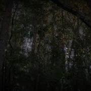 Title Sequence The Shed In The Woods