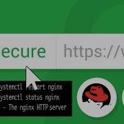 Installing An SSL Certificate On An AlmaLinux Server With Nginx Let S Encrypt