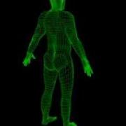 Final Year Project 3d Man Wireframe 1
