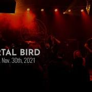 IMMORTAL BIRD Live At Saint Vitus Bar Nov 30th 2021 FULL SET