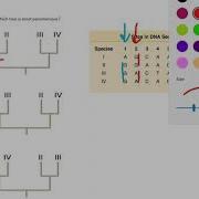 Find The Most Parsimonious Tree