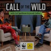 Jacob Collier On The Noise Of Nature Being Present And Climbing Trees Call Of The Wild Podcast