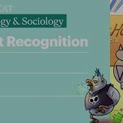 Object Recognition Top Down And Bottom Up Process Psych Soc Sketchy MCAT