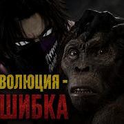 От первых приматов до Homo Sapiens полная история человека
