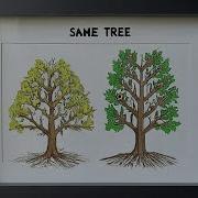 SAME TREE Don T Underestimate EASY Problems Unlock Key Binary Tree Concept With This LeetCode