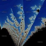 Mandelbrot Powers Morphing From 2 To 4 While Focusing On The Seahorse Valley