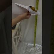 Free Fall Experiment Using Phyphox Inpsaa