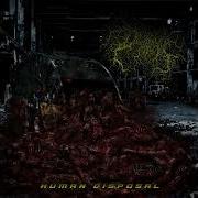 Divinite Hive Human Disposal Full EP