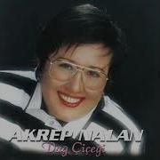 Akrep Nalan Aşiyan