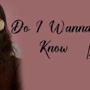 Arctic Monkeys Do I Wanna Know Dua Lipa Cover Full HD Lyrics