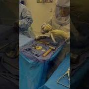 Total Knee Replacement