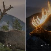 Glow Effect Photoshop Tutorial Glowing Effect