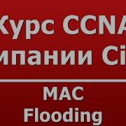 MAC Flooding