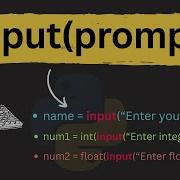 Input Function In Python Programming Tutorials