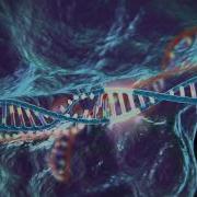 Genome Editing With CRISPR Cas9