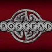Crossfade Cold