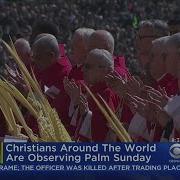 Christian Faithful Near Far Celebrate Palm Sunday Mass