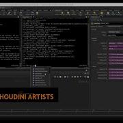 Python For Houdini Artists Pro VFX Course