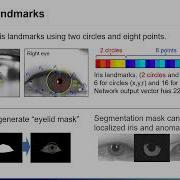 Segmentation Free Direct Iris Localization Networks