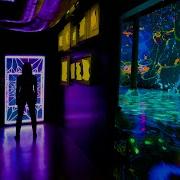 Geometric Properties ARTECHOUSE NYC