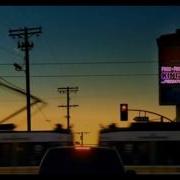 Dusky Careless