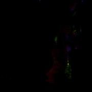 A Demonstration Of Dense Optical Flow