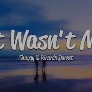 Shaggy It Wasn T Me Lyrics Ft Ricardo RikRok Ducent
