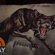 Learn The True Tale Behind The Hound Of The Baskervilles