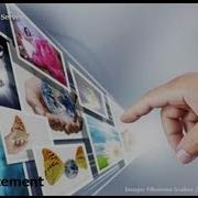 SQL The Select Statement