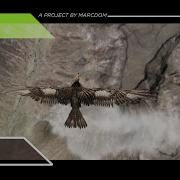 Vulture Project A Quick Way To Simulate Feathers In Houdini