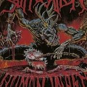 Suffocation Infecting The Crypts