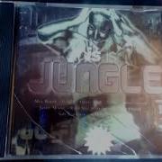 This Is Jungle CD 1