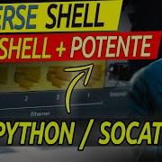 REVERSE SHELL INTERACTIVE POTENTE Com PYTHON E SOCAT KALI LINUX 2020 Tutorial Educacional