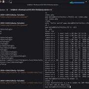 CVE 2019 11043 PHP FPM Remote Code Execution RCE Technical Analysis Patch