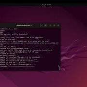 Linux On Apple Silicon And Mininet
