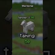 How To Tame A Horse INSTANTLY