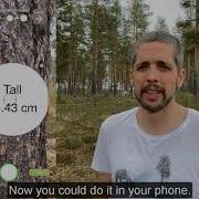 Arboreal Transect Forest Inventory Method