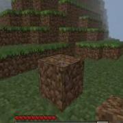 XviD Codec Camstudio Test