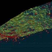 A Numerical Experiment On Wave Breaking With Oil Slick