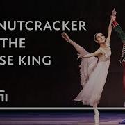 Trailer Of The Nutcracker And The Mouse King Dutch National Ballet