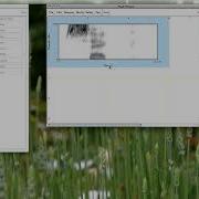 PRAAT 8 Saving Pictures 1