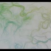 Flow Field