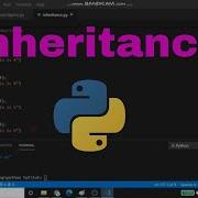 Multilevel And Hierarchical Inheritance In Python