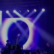 Дельфин Dolphin Душа Дом печати ЕКБ 15 04 2016