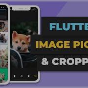 Flutter Image Picker Cropper From Camera Gallery Learn Flutter Fast