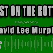 David Lee Murphy Dust On The Bottle Karaoke Version