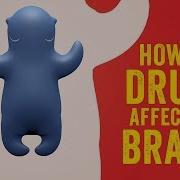 How Do Drugs Affect The Brain Sara Garofalo